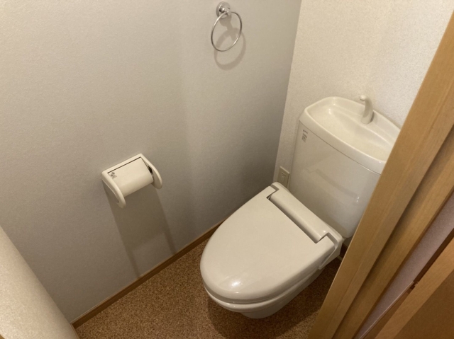清潔感のあるトイレですね