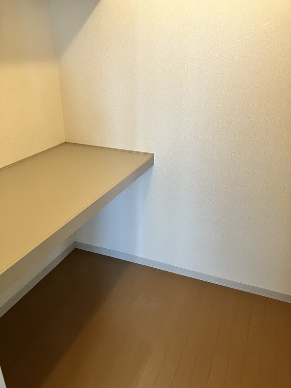 ウォークインクローゼットも広いですね。
