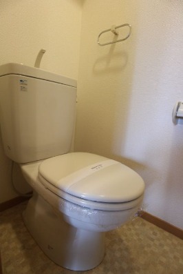 清潔感のあるトイレです