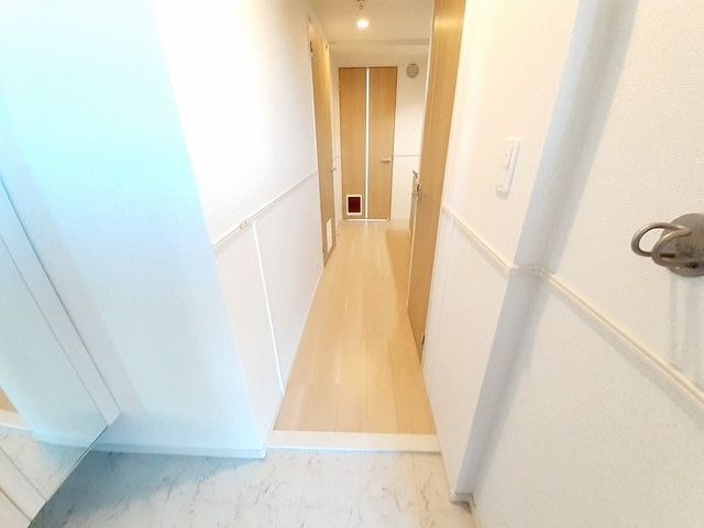 明るい玄関でお出迎え。