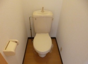 落ち着く空間ですね。