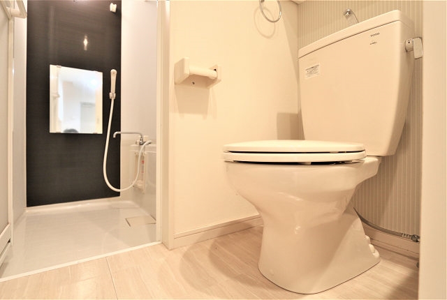 清潔感のあるトイレです