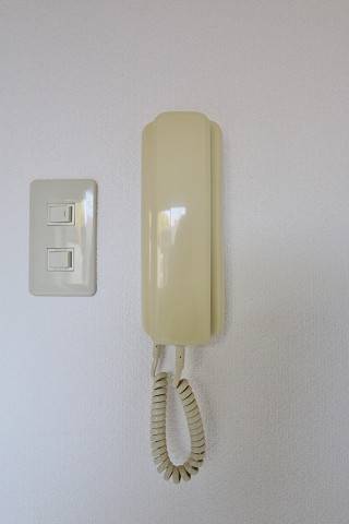 来客が確認できるので安心です