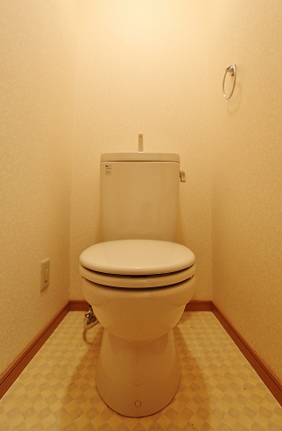清潔感のあるトイレです