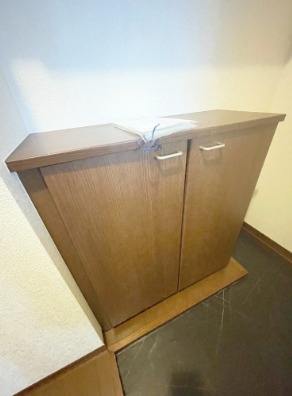 明るい玄関でお出迎え。