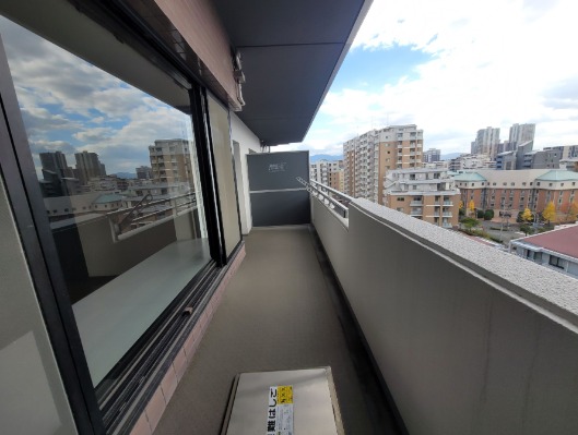 晴れた日はこちらで洗濯物を干せます