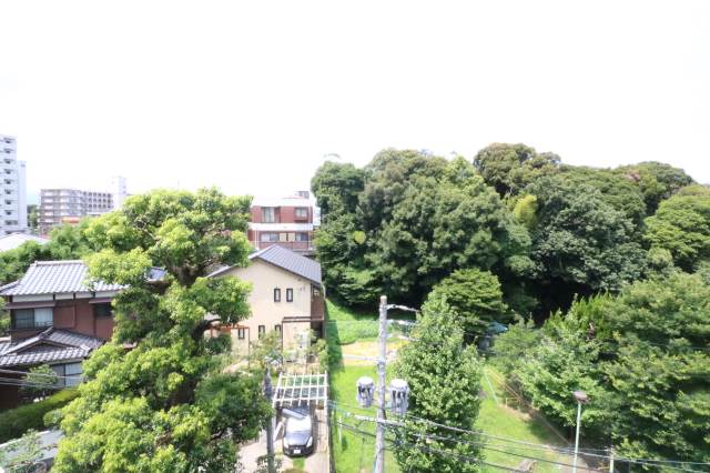 眺望良好です