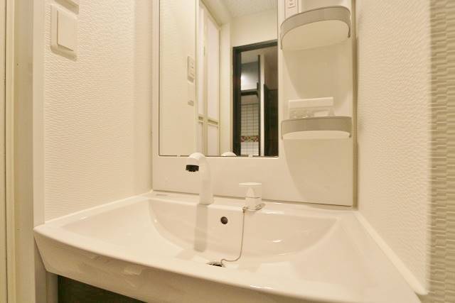 大きい洗面ボールです