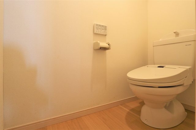 嬉しい温水洗浄機能付き