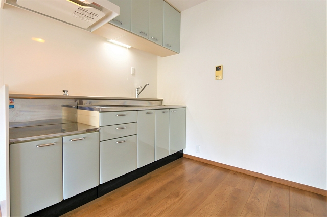 調理スペースも広々、お好きなコンロが置けますね