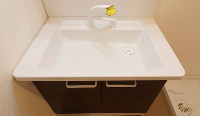 シャンプードレッサー付きです。