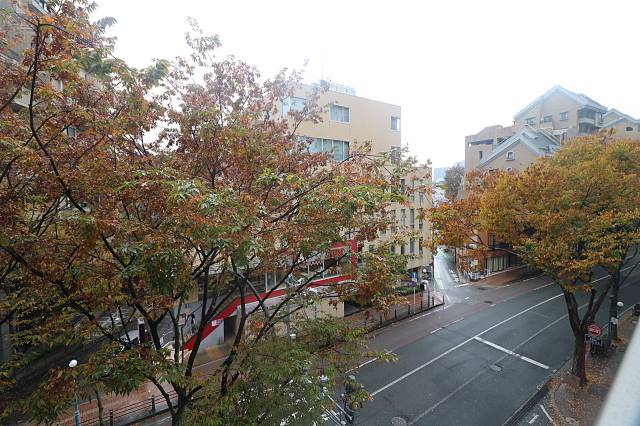 ほら、けやき通り