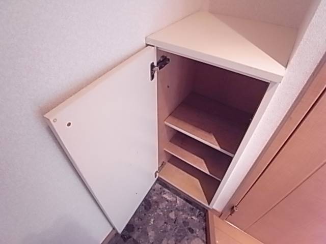 靴もたくさん入ります