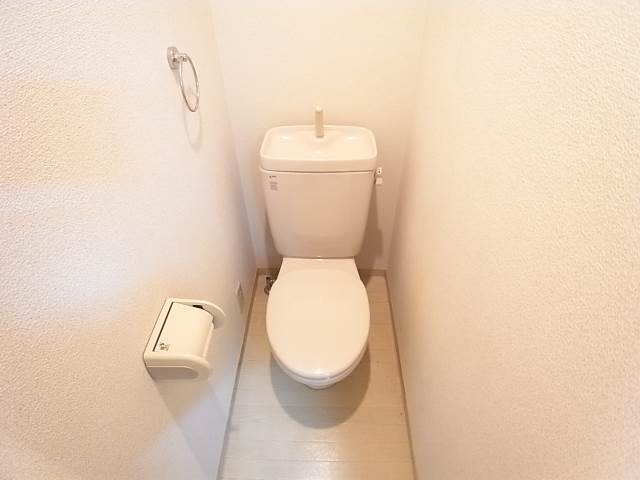 清潔感のあるトイレですね。