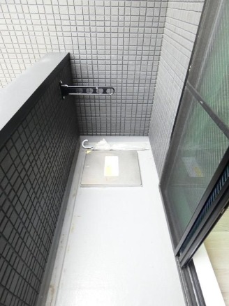 洗濯機置場も干せるバルコニーです