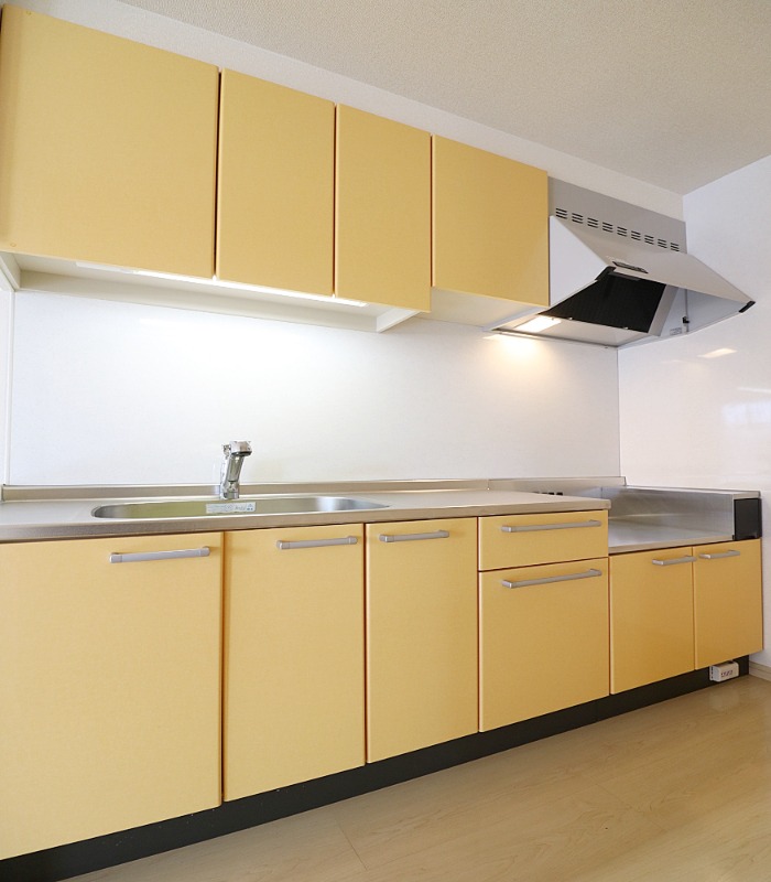 毎日料理したくなるキッチンです