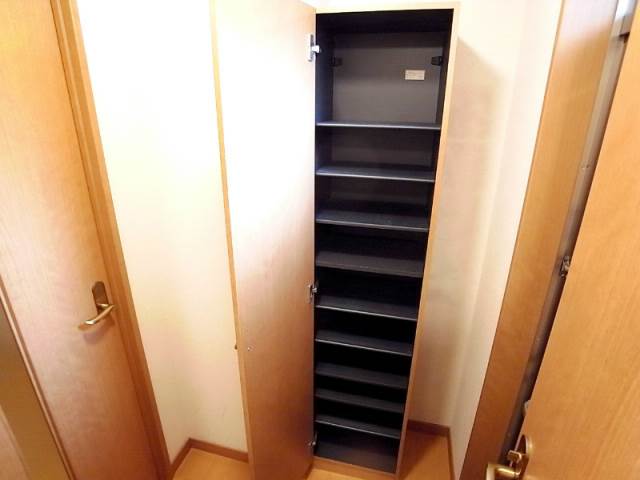 靴もたくさん入ります