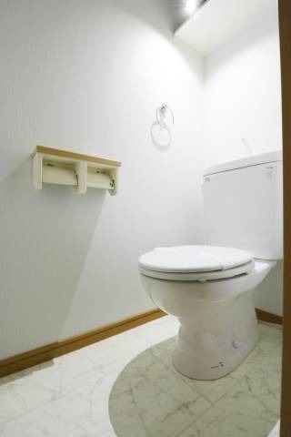 綺麗なトイレです。