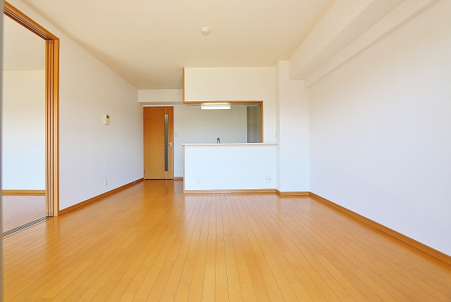 これだけ広ければ問題なし