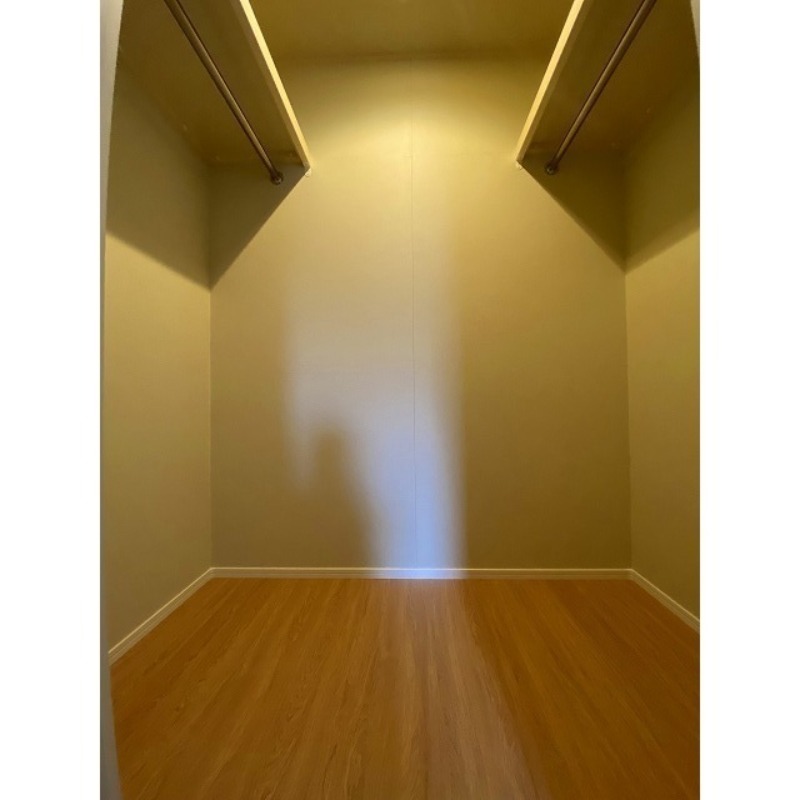 収納スペースもバッチリウォークインクローゼット。